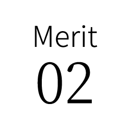 Merit 2