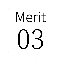 Merit 3